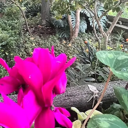 Garden View Prestige * سانتّانييلّو