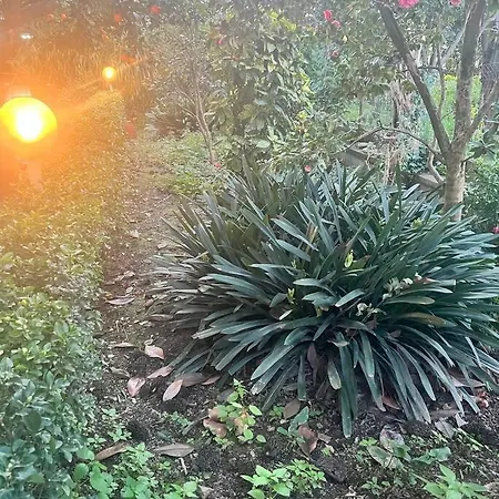 Garden View Prestige *