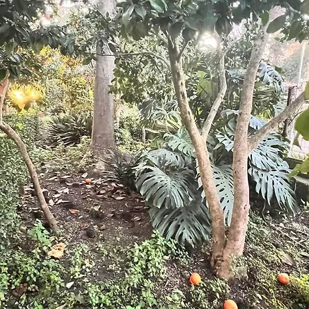 Garden View Prestige سانتّانييلّو