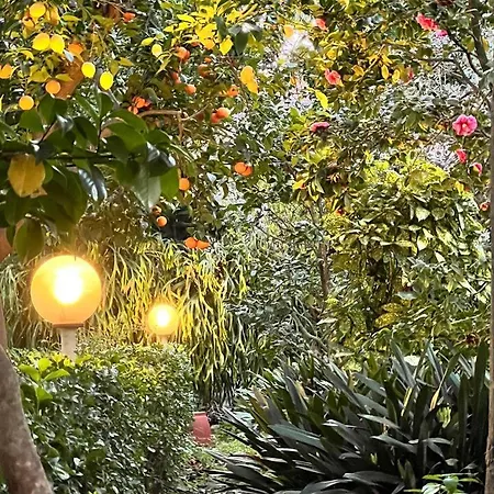 Garden View Prestige *